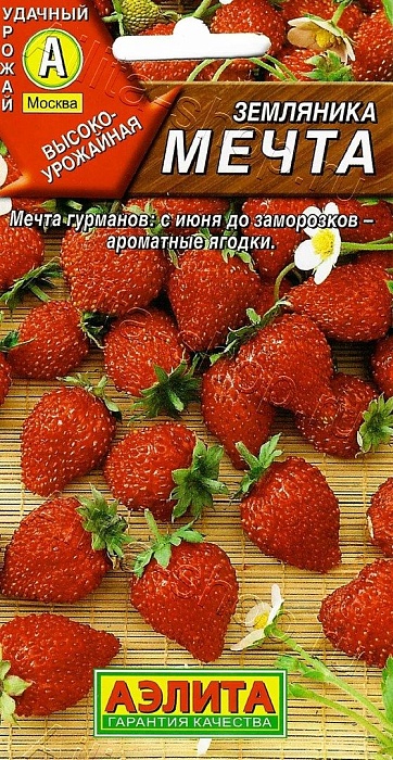 картинка Земляника Мечта 0,04г ц/п (Аэлита) альпийская магазин Одежда+ являющийся официальным дистрибьютором в России 