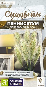 Сухоцветы Пеннисетум злак декоративный 5шт ц/п (СемАлт)