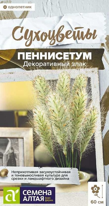картинка Пеннисетум мохнатый злак декоративный 5шт ц/п (СемАлт) магазин Одежда+ являющийся официальным дистрибьютором в России 