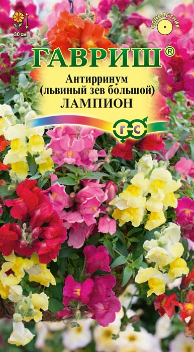 картинка Львиный зев Лампион ампельный 5шт ц/п (Гавриш)  магазин Одежда+ являющийся официальным дистрибьютором в России 
