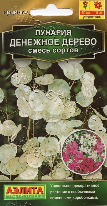картинка Лунария Денежное дерево, смесь сортов 0,3г ц/п (Аэлита) магазин Одежда+ являющийся официальным дистрибьютором в России 