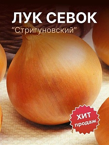 Лук Стригуновский 1кг (ПрСидс)