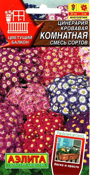картинка Цинерария Комнатная, смесь 30шт ц/п (Аэлита) магазин Одежда+ являющийся официальным дистрибьютором в России 