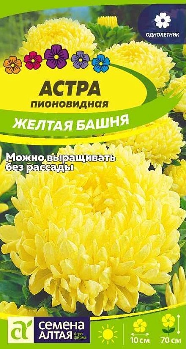 картинка Астра Башня желтая 0,2г ц/п (СемАлт) магазин Одежда+ являющийся официальным дистрибьютором в России 