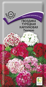 Гвоздика турецкая Пиноккио, смесь 0,3г ц/п (Поиск)