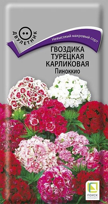 картинка Гвоздика турецкая Пиноккио, смесь 0,3г ц/п (Поиск) магазин Одежда+ являющийся официальным дистрибьютором в России 