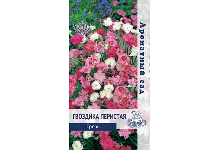 картинка Гвоздика перистая Грезы Смесь окрасок 0,1г ц/п (Поиск) Аром.сад магазин Одежда+ являющийся официальным дистрибьютором в России 