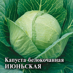 Капуста Июньская 25г (Гавриш)