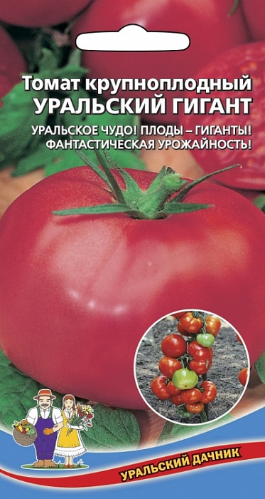 картинка Томат Уральский гигант красный 20шт ц/п (УД) раннеспелый,масса до 800г магазин Одежда+ являющийся официальным дистрибьютором в России 