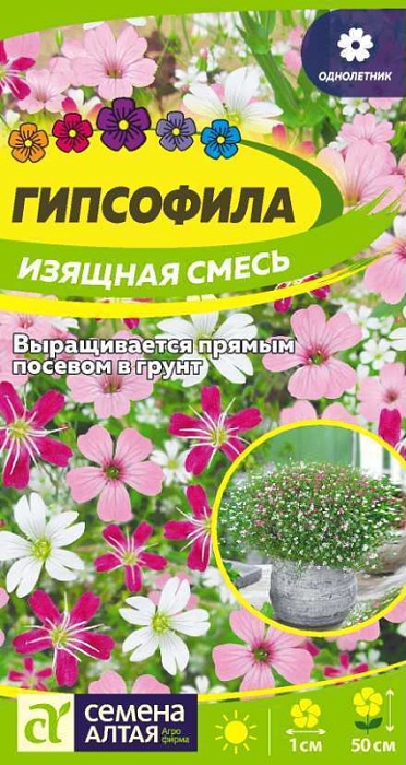 картинка Гипсофила Изящная смесь 0,05г ц/п (СемАлт) магазин Одежда+ являющийся официальным дистрибьютором в России 