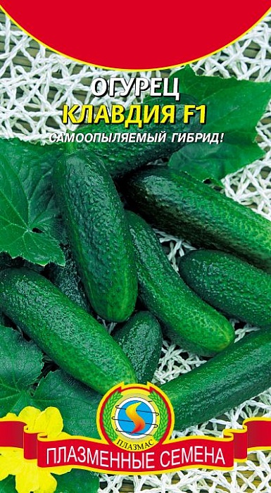 картинка Огурец Клавдия F1 8шт ц/п (ПлазмаС) ранний, мелкобугорчатый магазин Одежда+ являющийся официальным дистрибьютором в России 