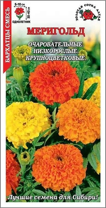 картинка Бархатцы Мериголд Смесь 0,2г ц/п (З/Сотка) 30-40см/5-7см магазин Одежда+ являющийся официальным дистрибьютором в России 