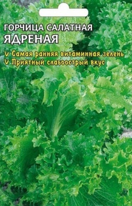 картинка Горчица Ядреная 0,5г ц/п (УУ) магазин Одежда+ являющийся официальным дистрибьютором в России 