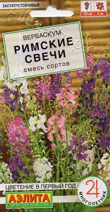 картинка Вербаскум Римские свечи 0,05г ц/п (Аэлита)  магазин Одежда+ являющийся официальным дистрибьютором в России 