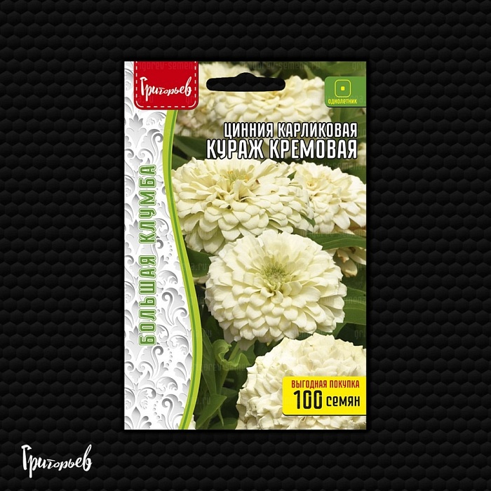 картинка Цинния Кураж Кремовая карликовая 100шт (Григорьев) магазин Одежда+ являющийся официальным дистрибьютором в России 