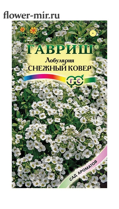картинка Лобулярия Снежный ковер морская 0,05г ц/п (Гавриш) Сад ароматов магазин Одежда+ являющийся официальным дистрибьютором в России 