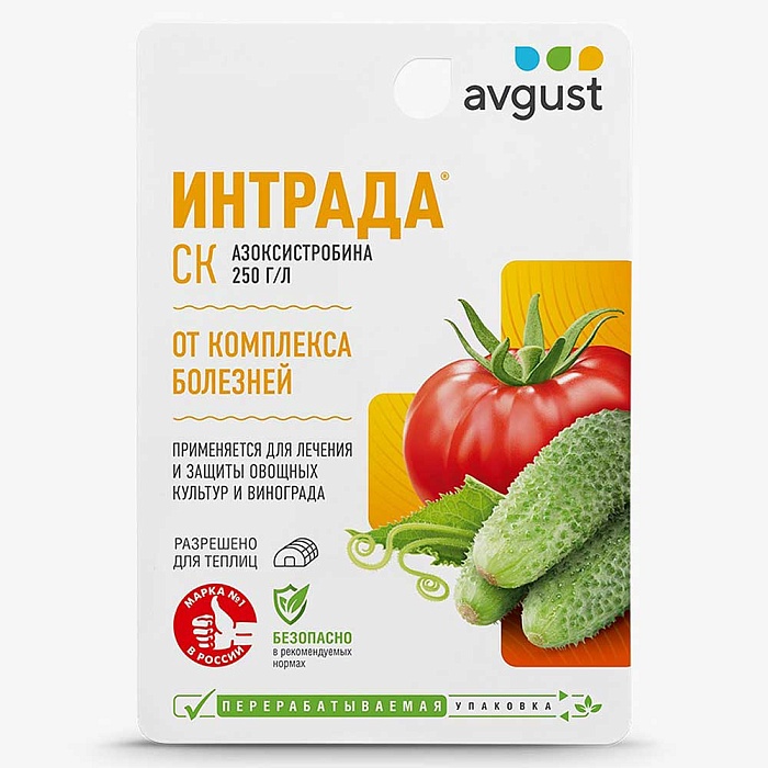 картинка Интрада 4мл (Август) 10/200 Новинка!  магазин Одежда+ являющийся официальным дистрибьютором в России 
