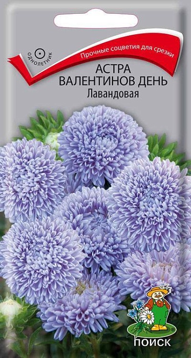 картинка Астра Валентинов день Лавандовая 0,2г ц/п (Поиск) магазин Одежда+ являющийся официальным дистрибьютором в России 