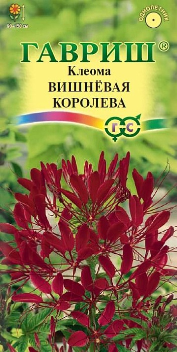 картинка Клеома Вишневая королева 0,3г ц/п (Гавриш) колючая магазин Одежда+ являющийся официальным дистрибьютором в России 
