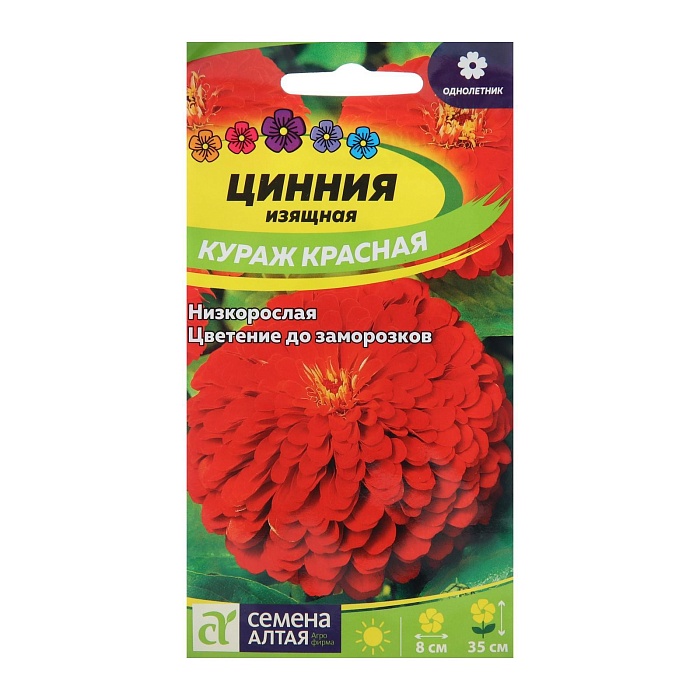 картинка Цинния Оранжевый король 0,2г ц/п (СемАлт) магазин Одежда+ являющийся официальным дистрибьютором в России 