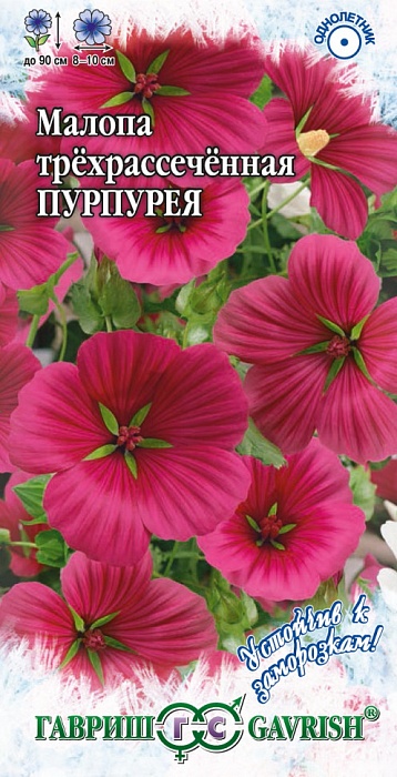 картинка Малопа Пурпурея 0,1г ц/п (Гавриш) магазин Одежда+ являющийся официальным дистрибьютором в России 