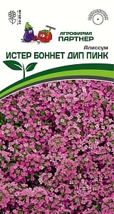 Алиссум морской Истер Боннет Дип Пинк 0,01г (Партнер)