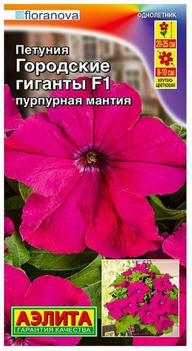 картинка Петуния Городские Гиганты пурпурная мантия F1 7шт ц/п *(Аэлита) магазин Одежда+ являющийся официальным дистрибьютором в России 