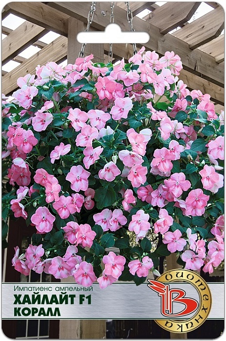 картинка Импатиенс Хайлайт F1 Корал 10шт (Биотехника) ампельный  магазин Одежда+ являющийся официальным дистрибьютором в России 