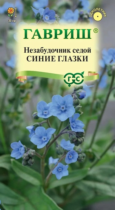 картинка Незабудочник седой Синие глазки 15шт ц/п (Гавриш) магазин Одежда+ являющийся официальным дистрибьютором в России 