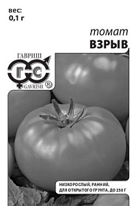 Томат Взрыв 0,05г б/п (Гавриш) скороспелый