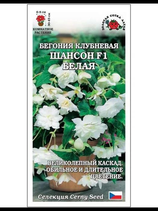 картинка Бегония Шансон Белая F1 5шт ц/п (СемАлт) Амп.шедевры магазин Одежда+ являющийся официальным дистрибьютором в России 