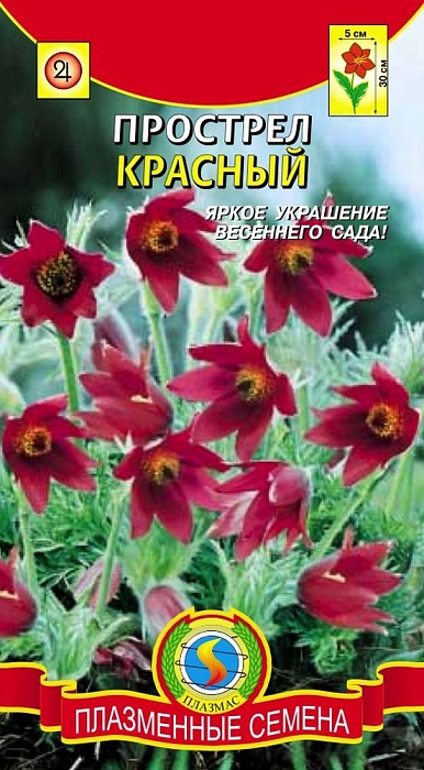 картинка Прострел Красный 10шт ц/п (ПлазмаС) магазин Одежда+ являющийся официальным дистрибьютором в России 