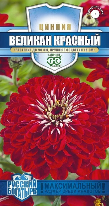 картинка Цинния Великан Красный 0,3г ц/п (Гавриш) Рус.богатырь магазин Одежда+ являющийся официальным дистрибьютором в России 