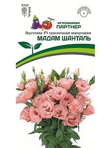 Эустома Мадам Шанталь F1 5шт (Партнер)
