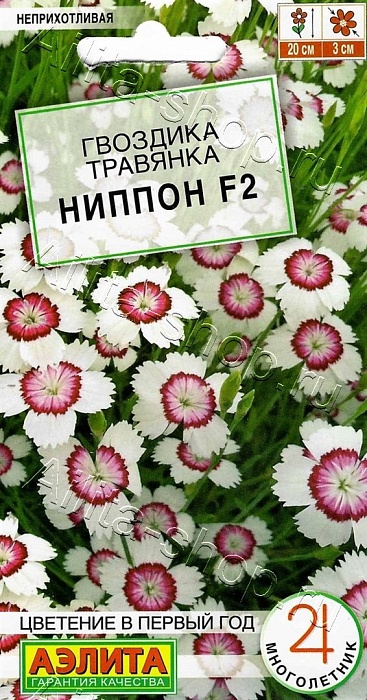 картинка Гвоздика Ниппон F2 0,05г ц/п (Аэлита) магазин Одежда+ являющийся официальным дистрибьютором в России 