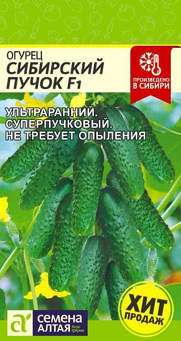 картинка Огурец Сибирский пучок F1 5шт ц/п (СемАлт) магазин Одежда+ являющийся официальным дистрибьютором в России 
