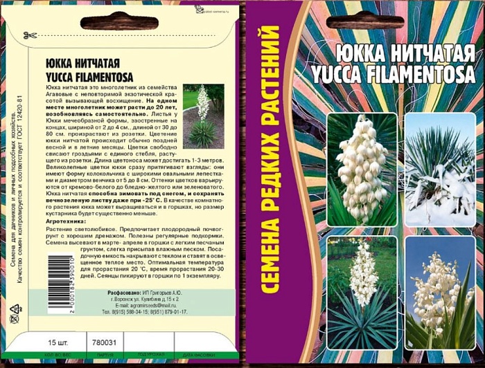 Юкка нитчатая (Yucca filamentosa) 10шт (Григорьев)