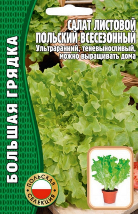 Салат Польский Всесезонный листовой 1000шт (Григорьев)