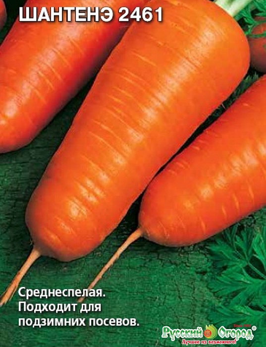 Морковь Шантене 2461 1г б/п (НК) 