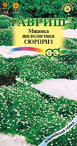Мшанка Сюрприз 0,01г ц/п (Гавриш) Альп.горка