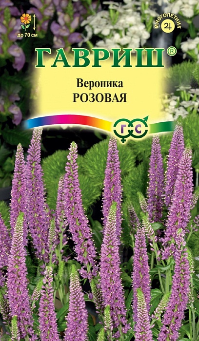 картинка Вероника Розовая 0,05г ц/п (Гавриш) длиннолистная магазин Одежда+ являющийся официальным дистрибьютором в России 