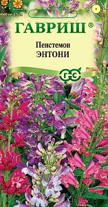 Пенстемон гибридный Энтони, смесь 0,1г ц/п (Гавриш) 