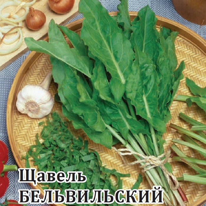 картинка Щавель Бельвильский 25г (Гавриш) магазин Одежда+ являющийся официальным дистрибьютором в России 