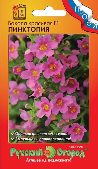 картинка Бакопа Пинктопия F1 3шт ц/п (НК) магазин Одежда+ являющийся официальным дистрибьютором в России 