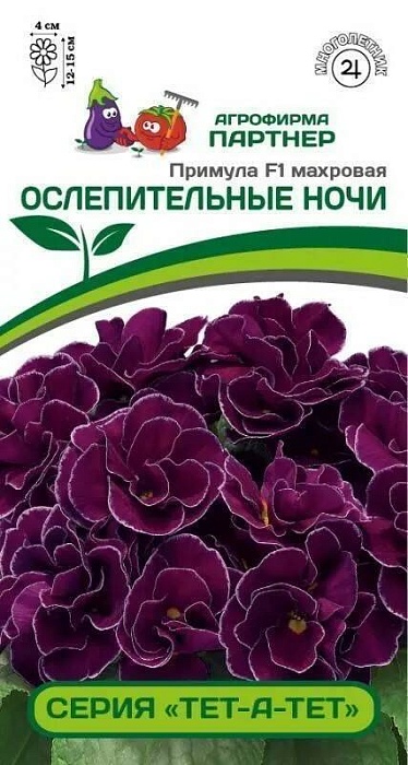 картинка Примула Ослепительные ночи F1 серия Тет-а-Тет 5шт (Партнер)  магазин Одежда+ являющийся официальным дистрибьютором в России 