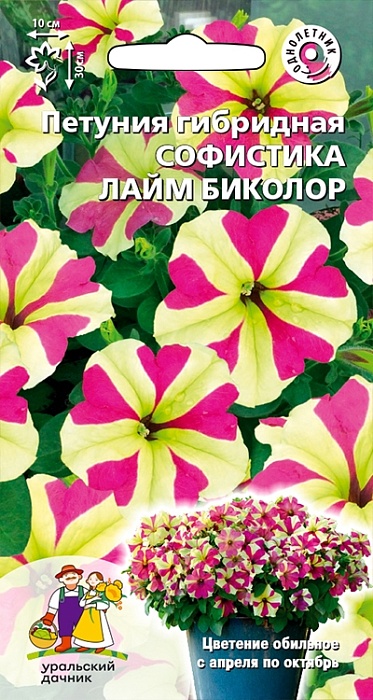 картинка Петуния Софистика Лайм Биколор ц/п (УД)  магазин Одежда+ являющийся официальным дистрибьютором в России 