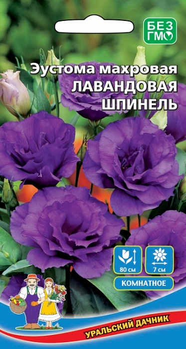 картинка Эустома Лавандовый Шпинель махровая 5шт ц/п (УД) Новинка! магазин Одежда+ являющийся официальным дистрибьютором в России 