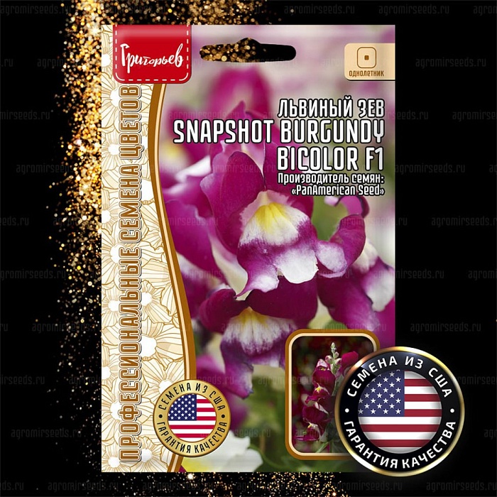 картинка Львиный зев Snapshot Burgundy Bicolor F1 5шт (Григорьев) магазин Одежда+ являющийся официальным дистрибьютором в России 