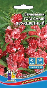 Бальзамин Том Самб двухцветный 0,1г ц/п (УД)