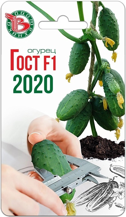 картинка Огурец Гост F1 2020 (Биотехника) магазин Одежда+ являющийся официальным дистрибьютором в России 